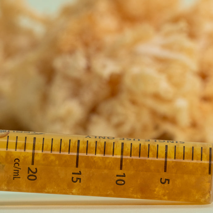 A syringe of New Zealand Lion's Mane (Pekepeke-Kiore) mushroom culture. In the background of the image is fresh New Zealand Lion's Mane 